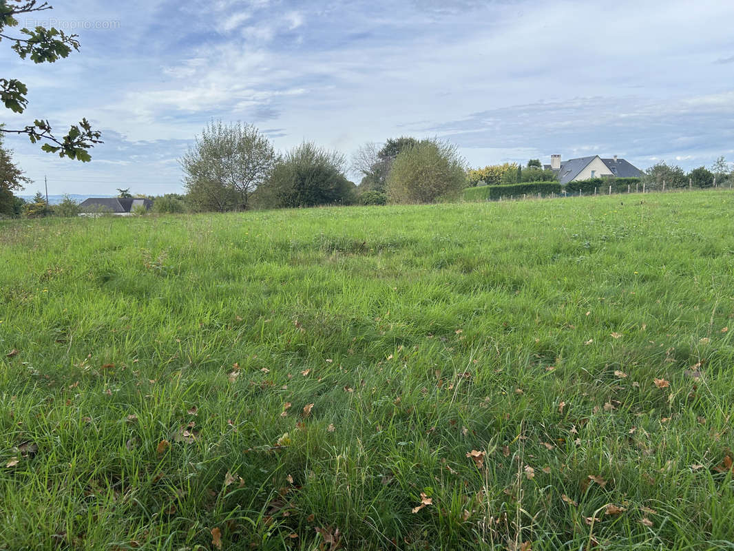 Terrain à DONZENAC