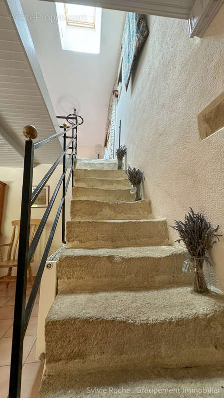 Maison à VISAN