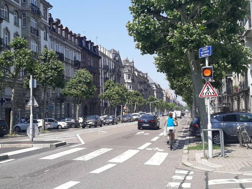 Commerce à STRASBOURG