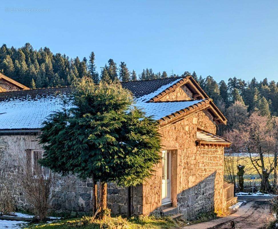Maison à JONZIEUX