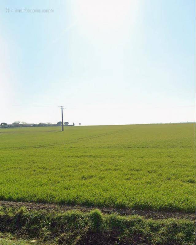 Terrain à VERINES