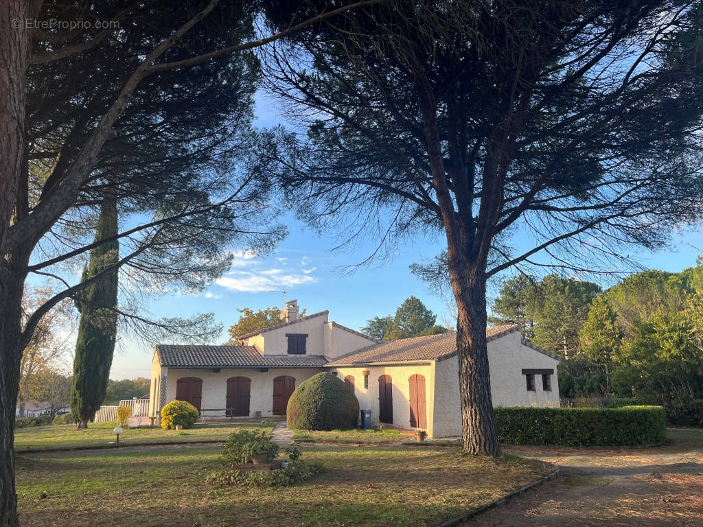 Maison à MONTRABE
