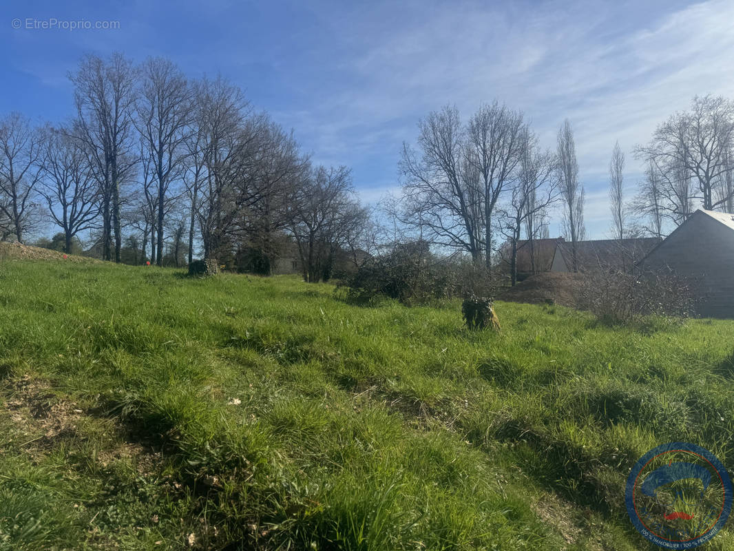 Terrain à POCE-SUR-CISSE