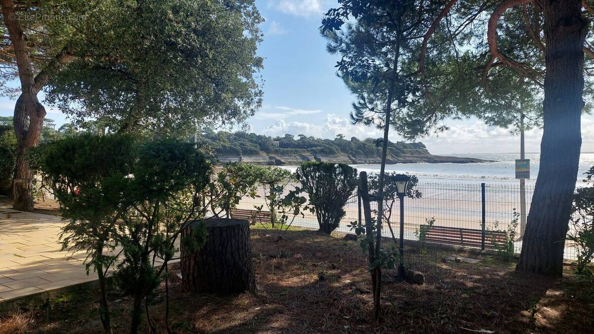 pins et arbres autour de la villa - Maison à SAINT-PALAIS-SUR-MER
