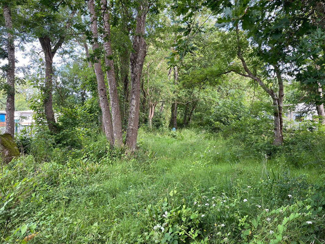 Terrain à SAINT-PIERRE-D&#039;OLERON