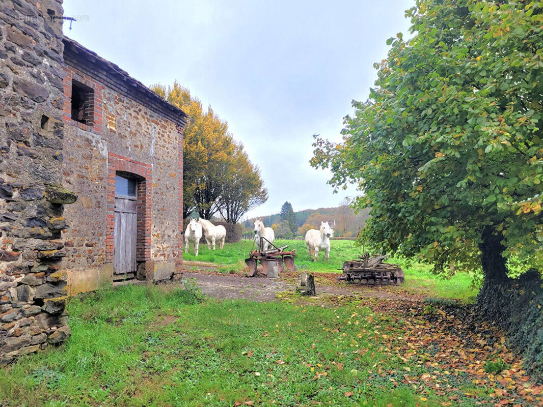 Maison à TOUCY