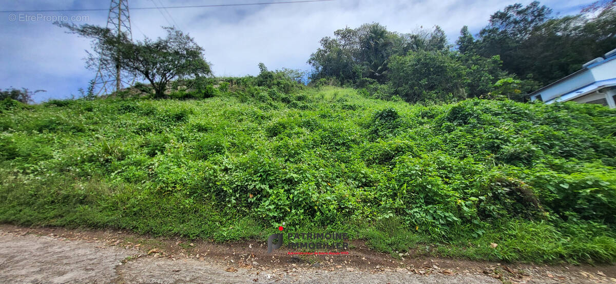 Terrain à LES ABYMES