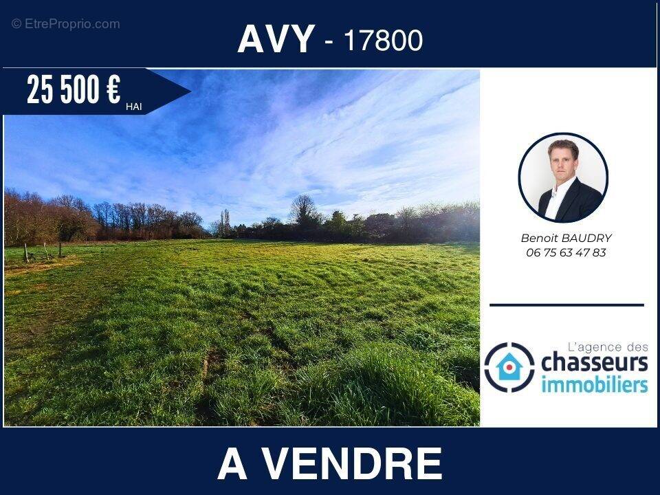 Terrain à AVY