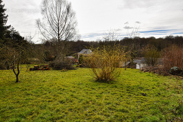 Terrain à DOMART-EN-PONTHIEU