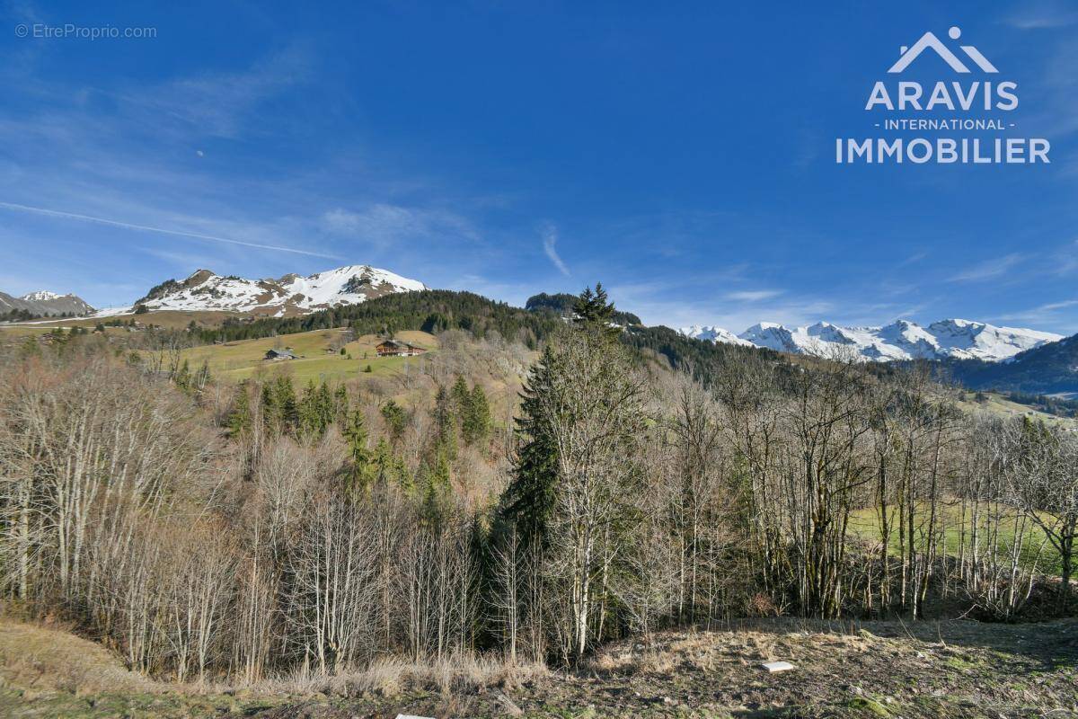 Terrain à LE GRAND-BORNAND