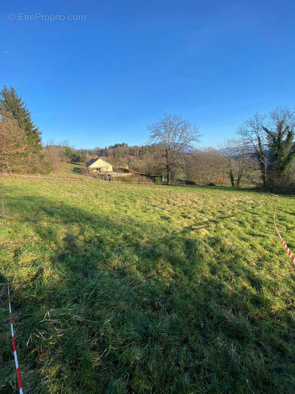 Terrain à MAGNIEU