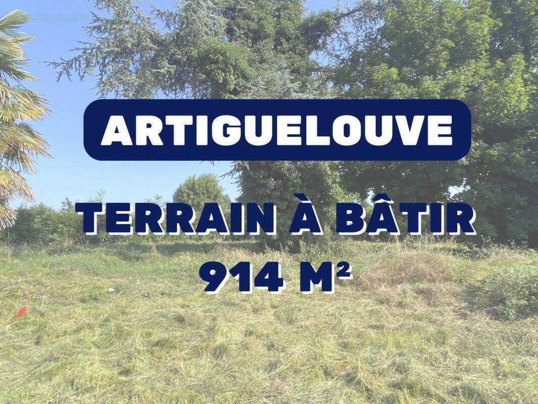 Terrain à ARTIGUELOUVE