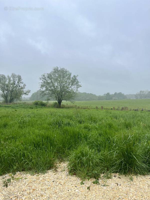 Terrain à BARON