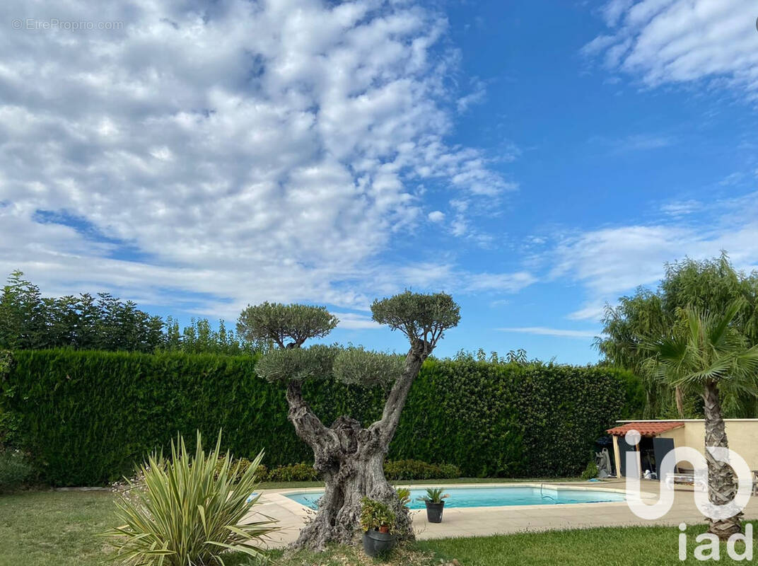 Photo 1 - Maison à MORIERES-LES-AVIGNON