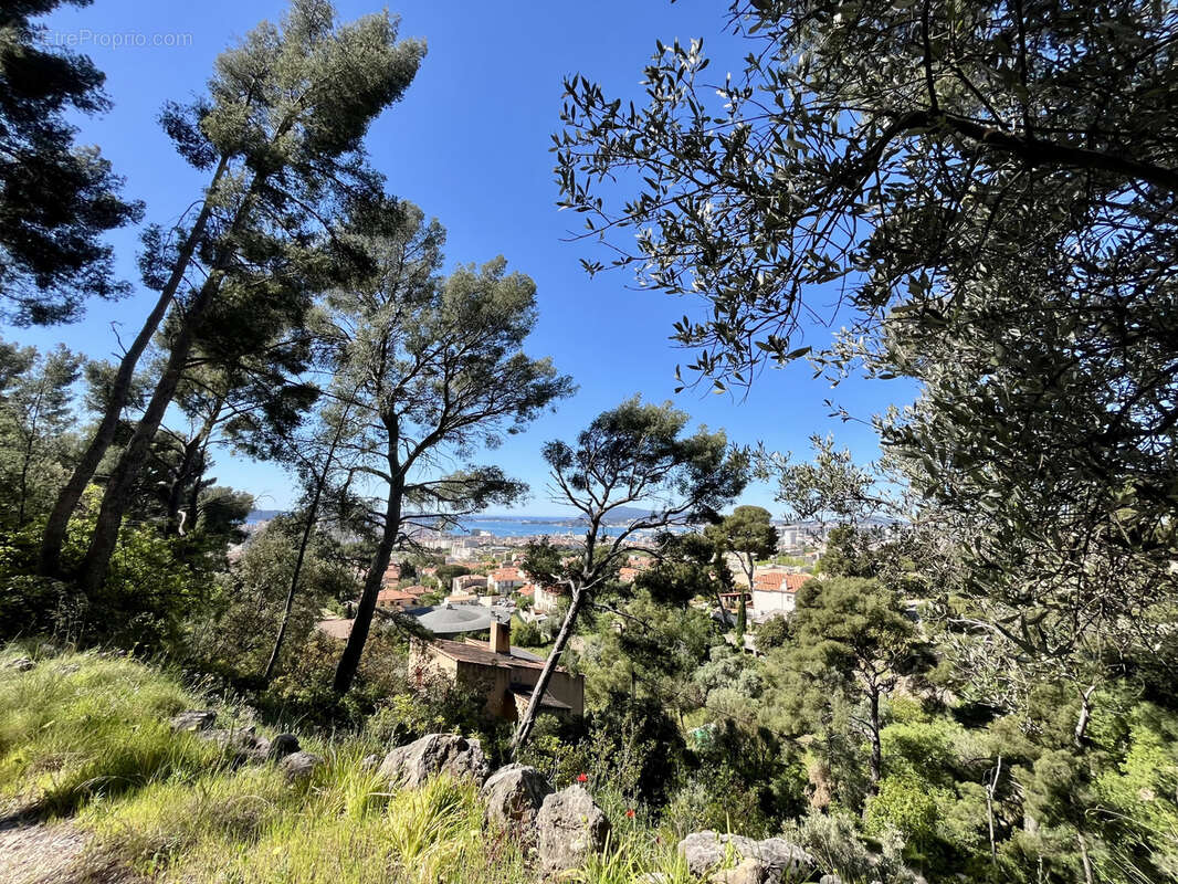 Maison à TOULON