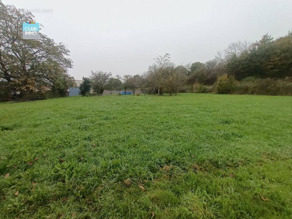A SENNECE-LES-MACON TERRAIN A BATIR DE 2460 ENV DONT 1 100 M² - Terrain à MACON