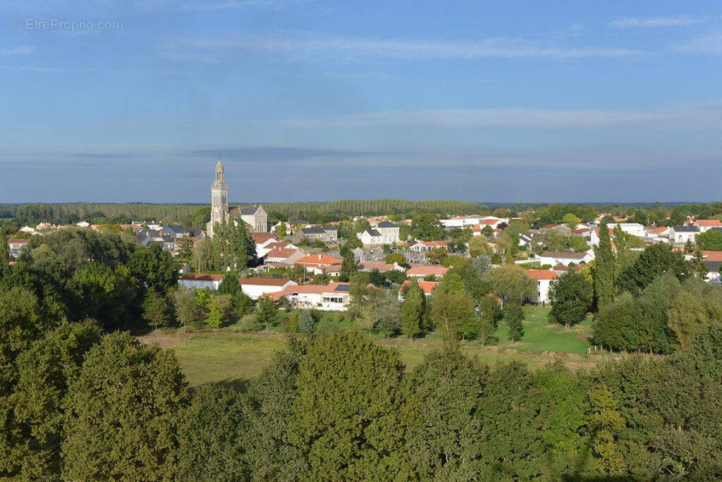 Terrain à SAINT-MARS-DE-COUTAIS