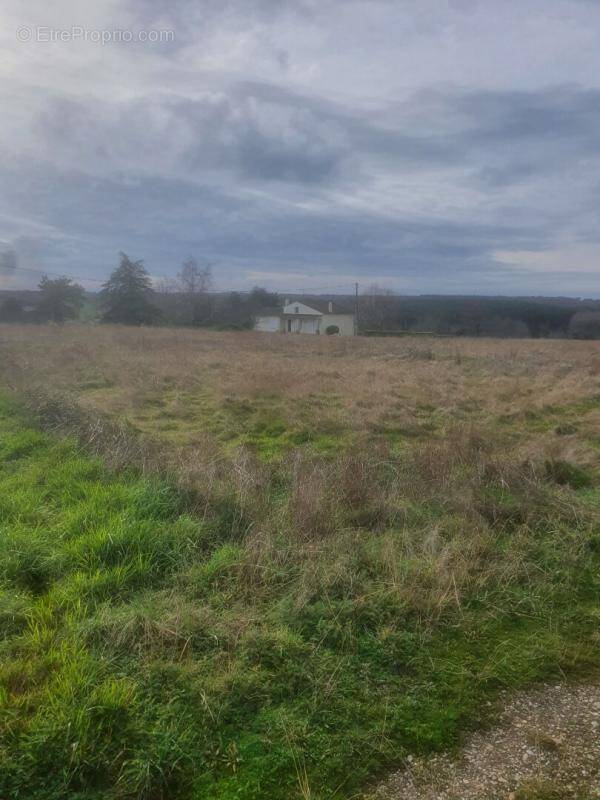 Terrain à MONTGUYON