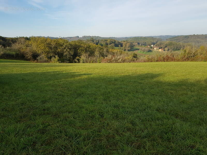 Terrain à MONTIGNAC