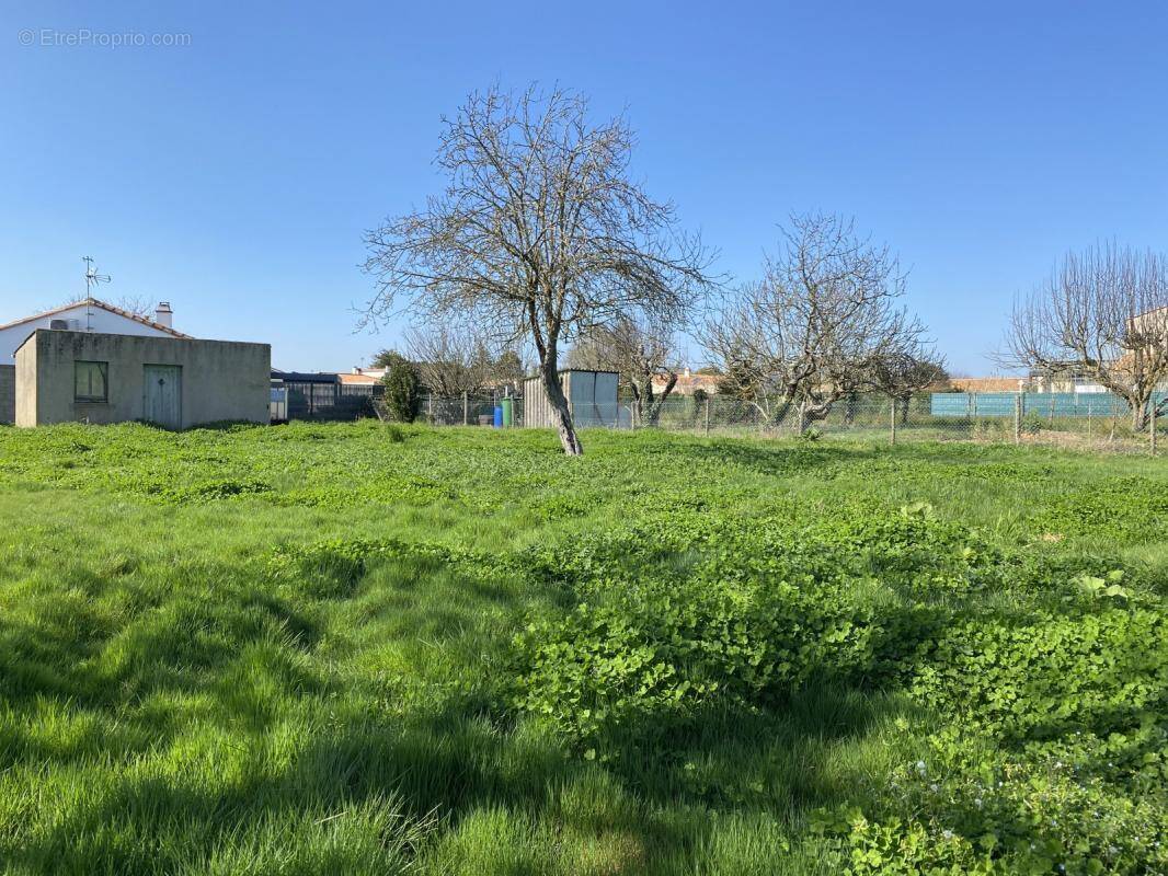 Terrain à JARD-SUR-MER