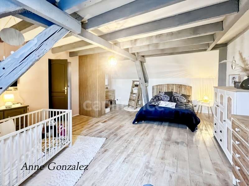 Maison à ORLEANS
