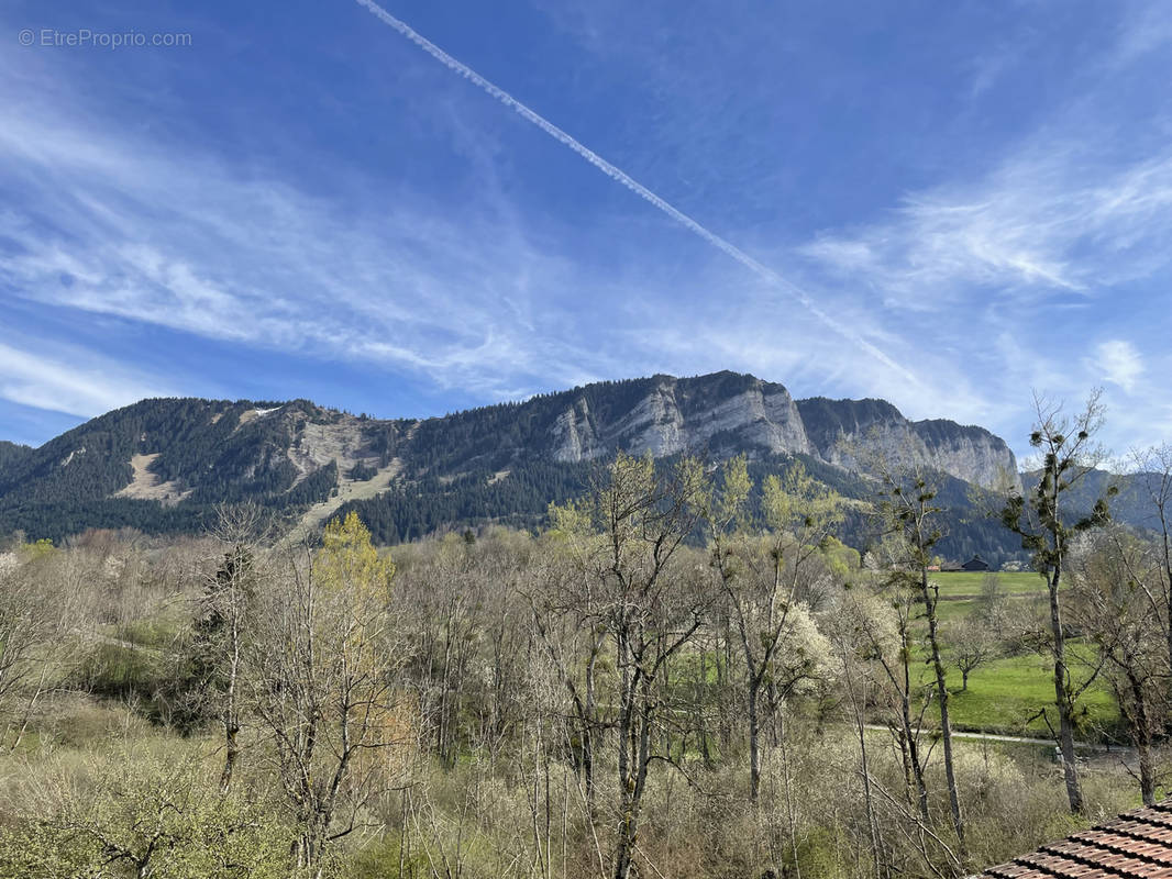 Terrain à THOLLON-LES-MEMISES