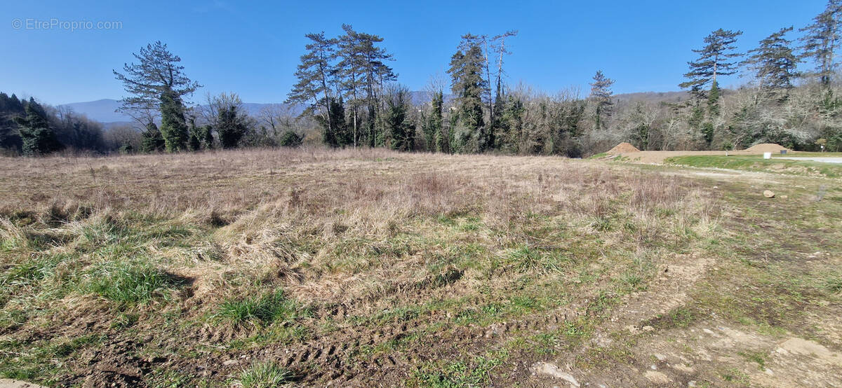 Terrain à CHAZEY-BONS