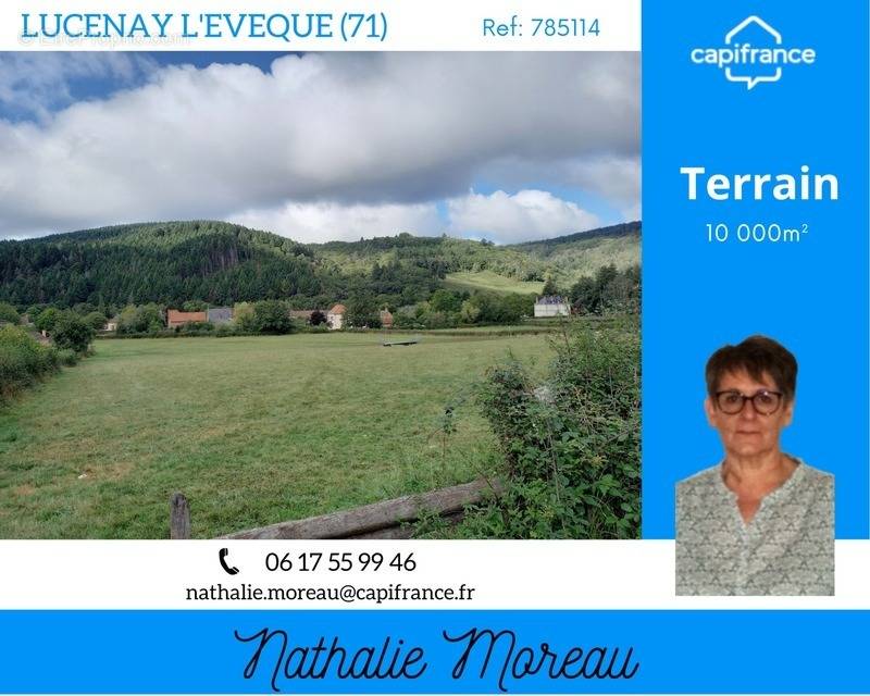 Terrain à LUCENAY-L&#039;EVEQUE