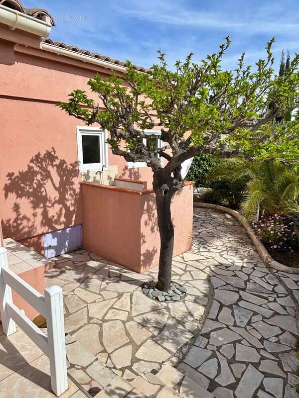Maison à ROQUEBRUNE-SUR-ARGENS