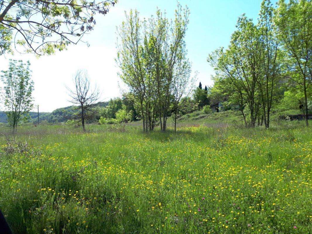 Terrain à LES VANS