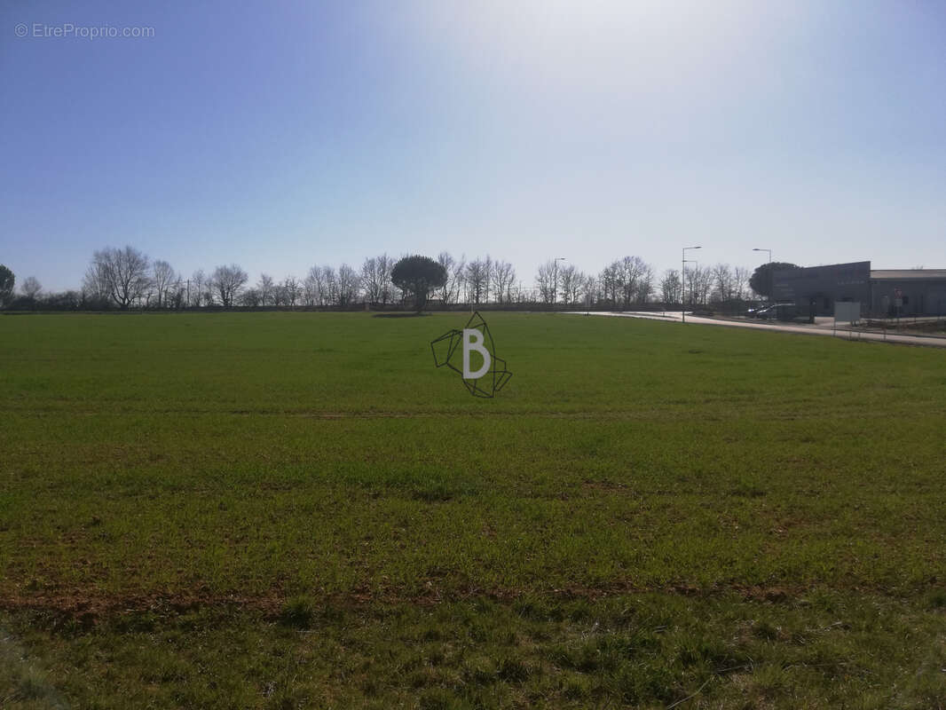 Terrain à PAMPELONNE