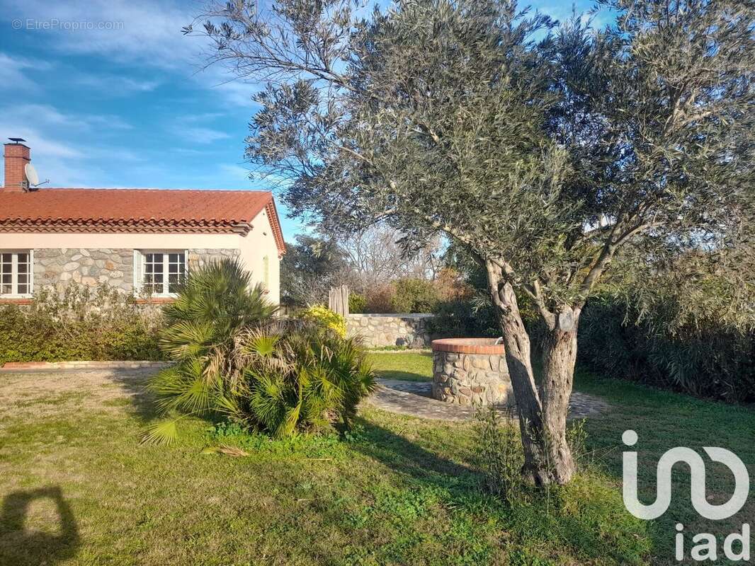 Photo 3 - Maison à SAINT-JEAN-PLA-DE-CORTS