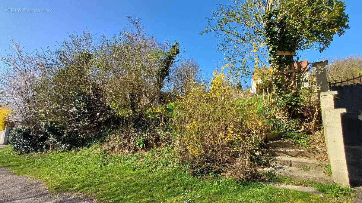 Terrain à MAGNY-EN-VEXIN