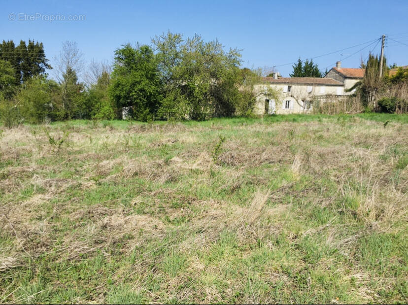 Terrain à MARSAS