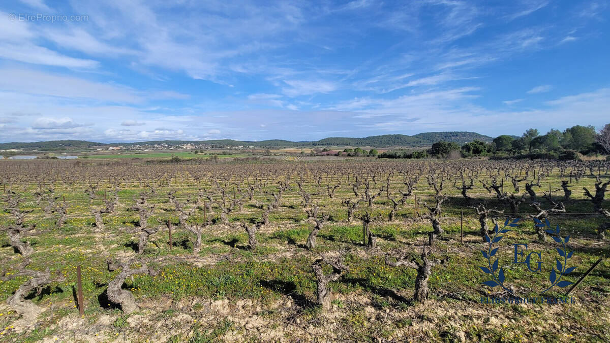 Terrain à CONGENIES