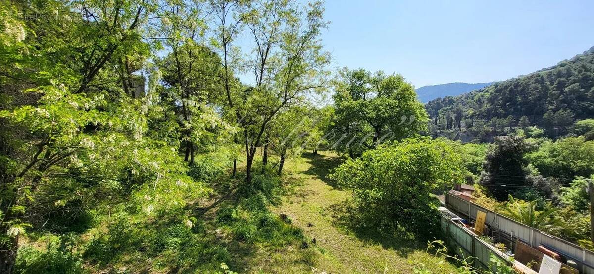 Terrain à CONTES