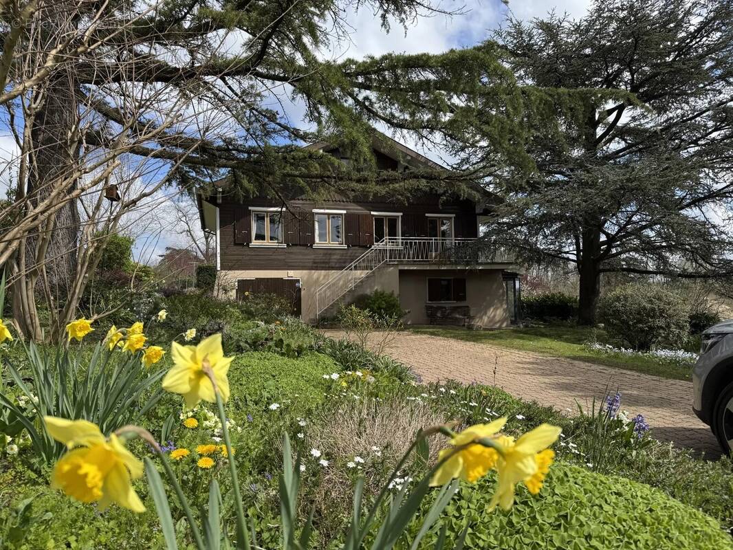 Maison à ANSE