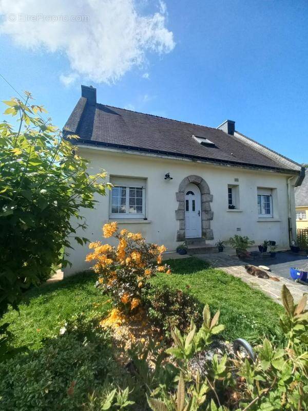 Maison à PLOUAY