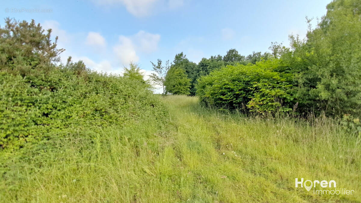 Terrain à MIANNAY