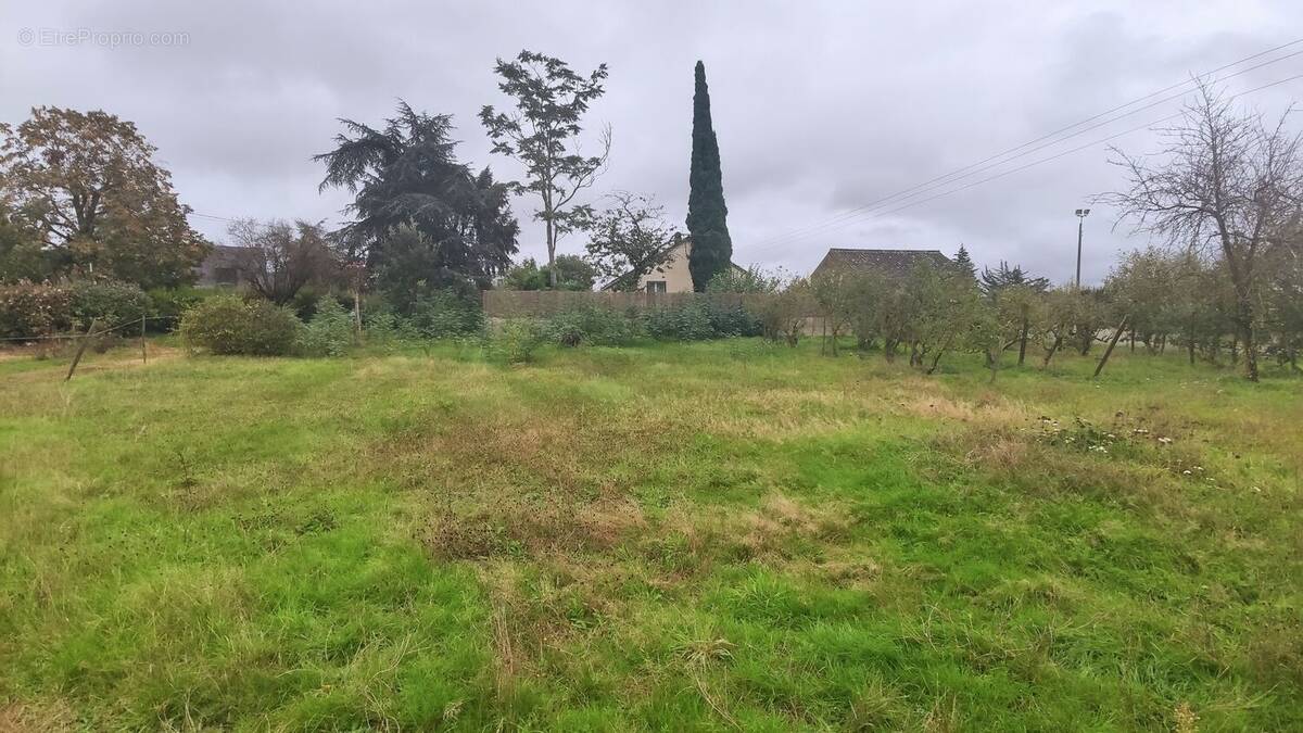 Terrain à TIERCE