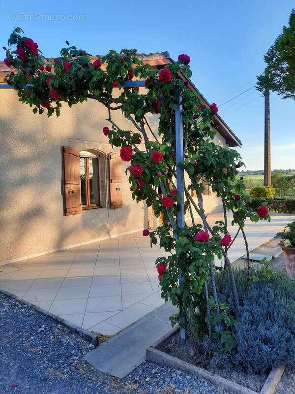 Maison à AUCH
