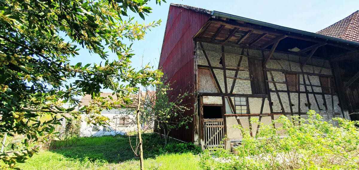 Commerce à SELESTAT