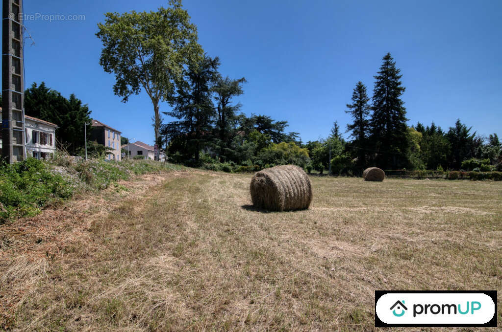 Terrain à MALAUSE
