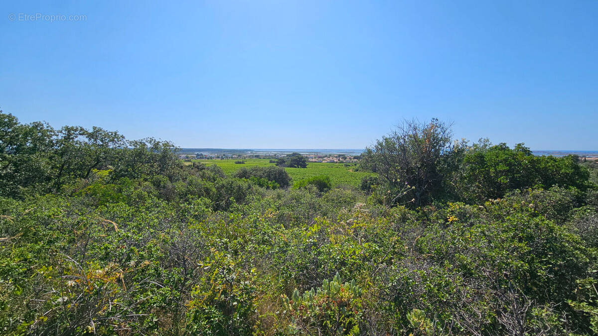 Terrain à FRONTIGNAN