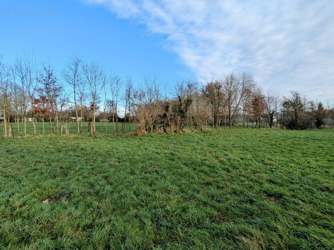Terrain à SAINT-RIQUIER