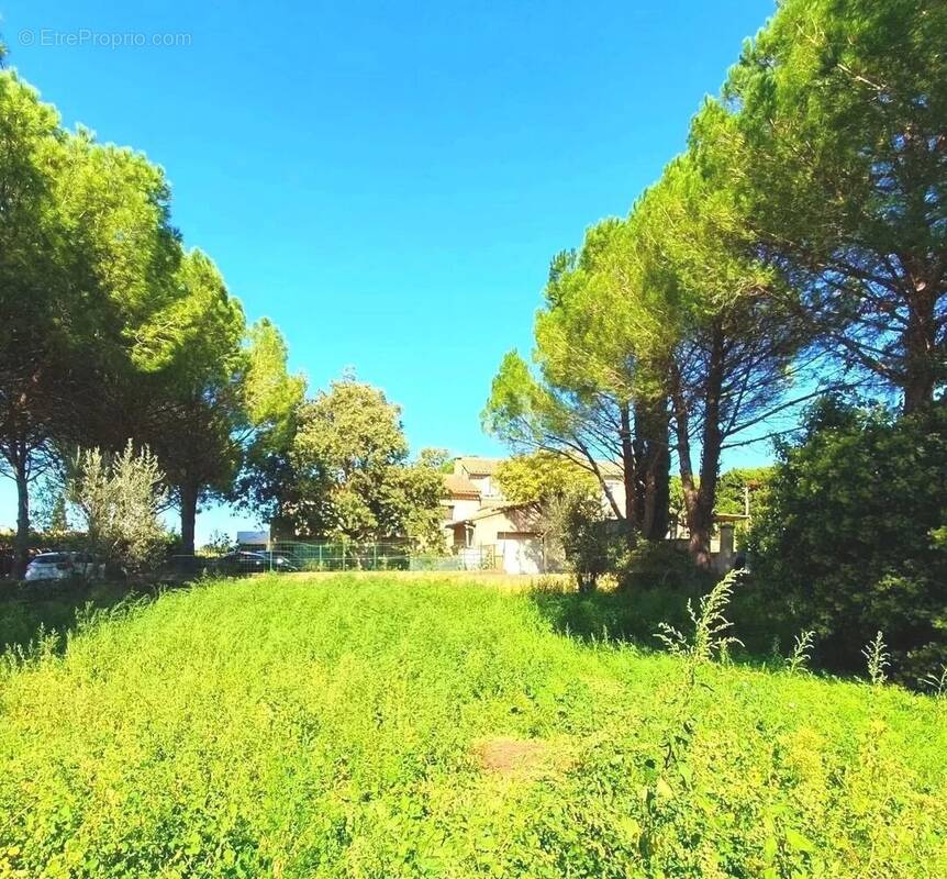 Maison à TAILLADES
