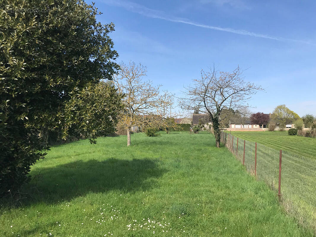 Terrain à MESNIL-SUR-L&#039;ESTREE