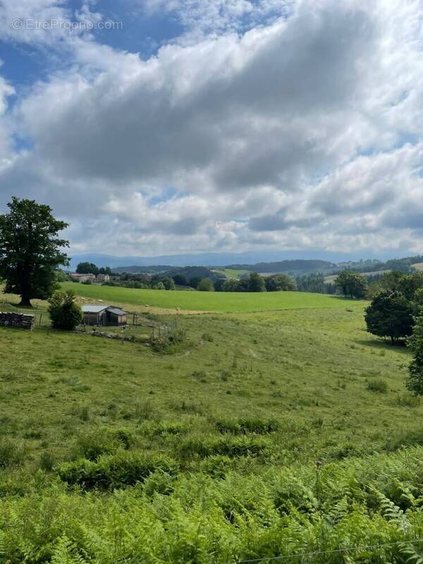 Terrain à BREUIL-LE-VERT