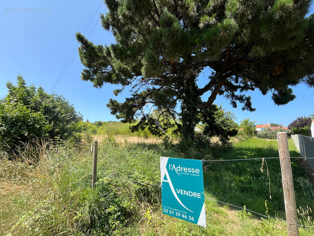 Terrain à BARBATRE
