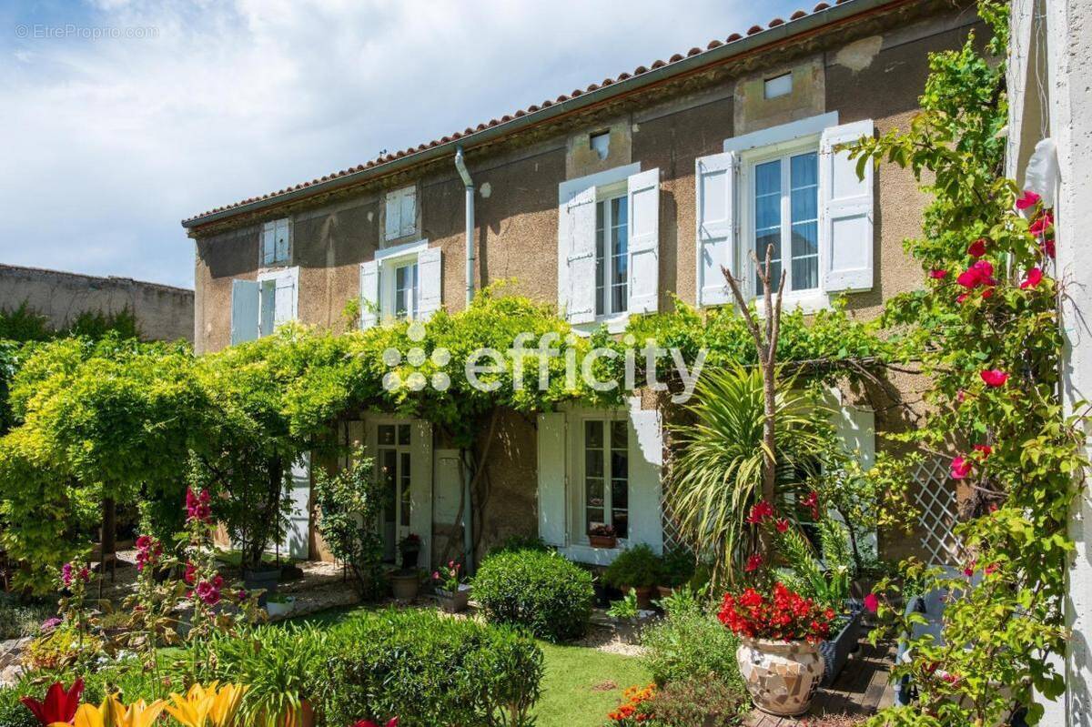 Maison à OLONZAC